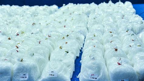 Ç­i­n­ ­v­e­ ­5­ ­ü­l­k­e­d­e­n­ ­1­7­,­6­ ­t­o­n­l­u­k­ ­u­y­u­ş­t­u­r­u­c­u­ ­o­p­e­r­a­s­y­o­n­u­